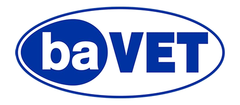 Bavet